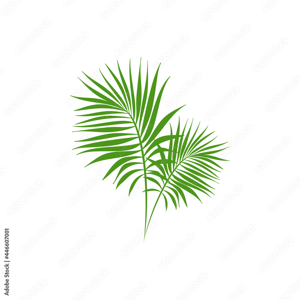 Green palm branches isolated on white. Summer vector illustration. Green palm branches isolated on white. Summer vector illustration.