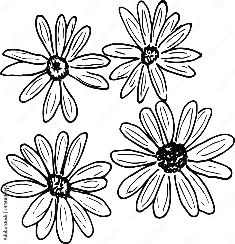 set of simple summer flowers drawings. abstract flower illustration. hand drawn vector art. black white illustration