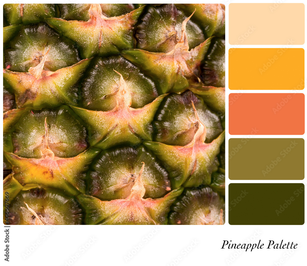 Pineapple closeup background in a colour palette with complimentary ...