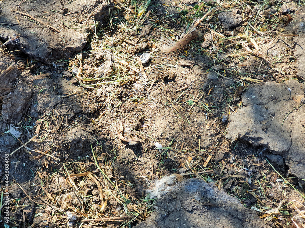ground with chicken manure, chicken dung organic fertilizer. ground with chicken manure, chicken dung organic fertilizer.