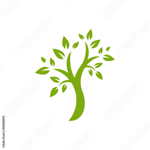 Green flat tree with leaves isolated on white. organic symbol. Natural, fresh, eco logo.