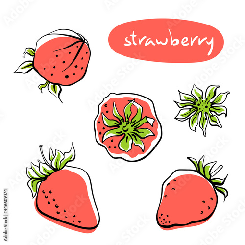 Strawberry. Colorful line sketch collection of fruits and berries isolated on white background. Doodle hand drawn fruits. Vector illustration