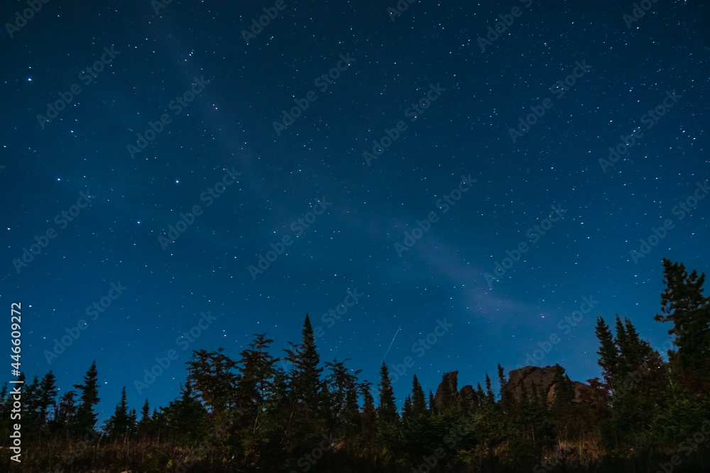 Blue starry night sky over pine trees on the top of mountain