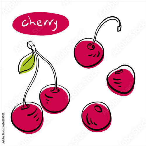 Cherry. Colorful line sketch collection of fruits and berries isolated on white background. Doodle hand drawn fruits. Vector illustration