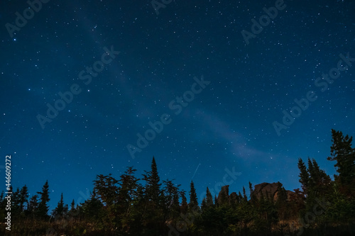 Blue starry night sky over pine trees on the top of mountain © mizuno555