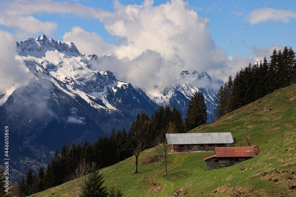 Schweizer Alpenidylle im Berner Oberland; Blick von Brienz (Planalp) auf Furrenhoren und Roteflue