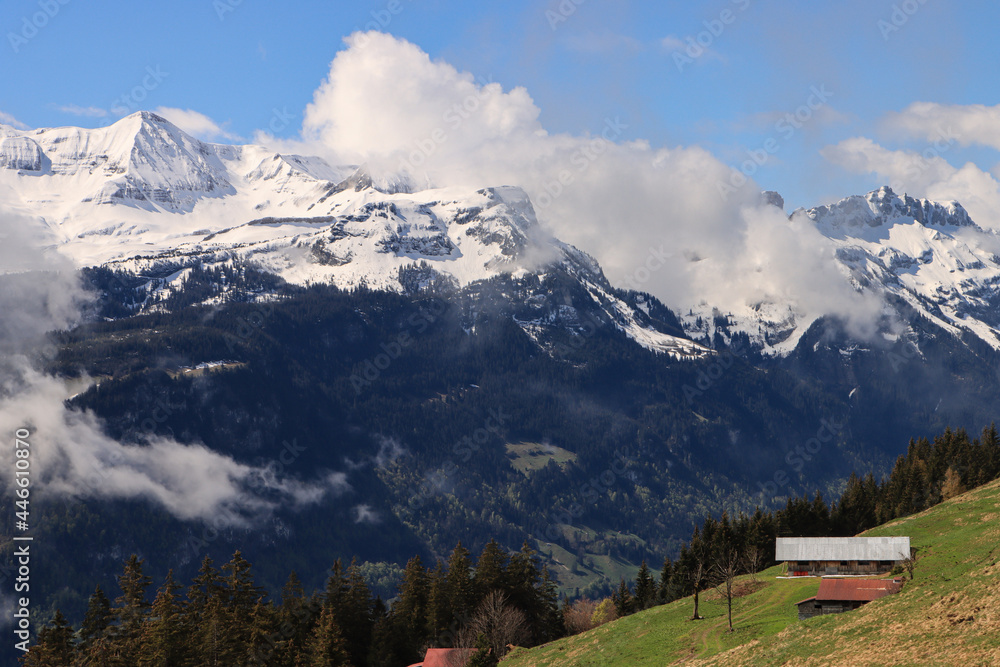 Schweizer Alpenromantik; Blick von der Planalp (Brienzer Rothorn) zum Faulhorn