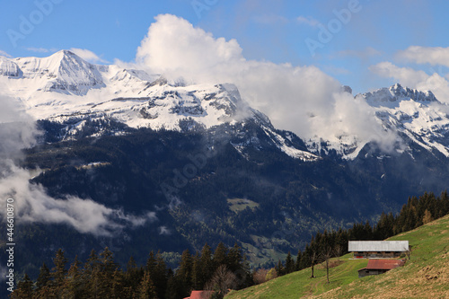 Schweizer Alpenromantik  Blick von der Planalp  Brienzer Rothorn  zum Faulhorn