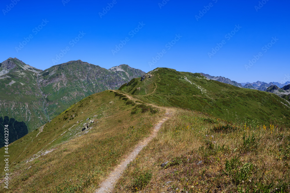 trail to the top of the mountain covered with alpine meadows green grass on the high attitude