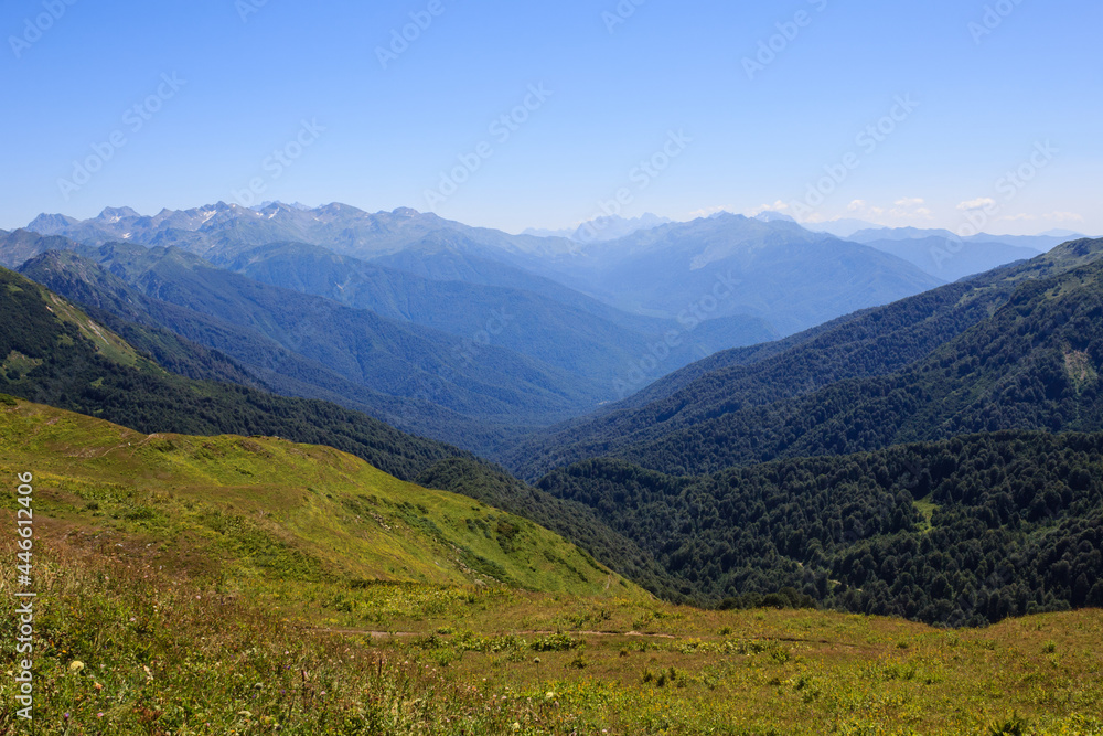 alpine meadows and forest in mountain valley landscape in Georgia
