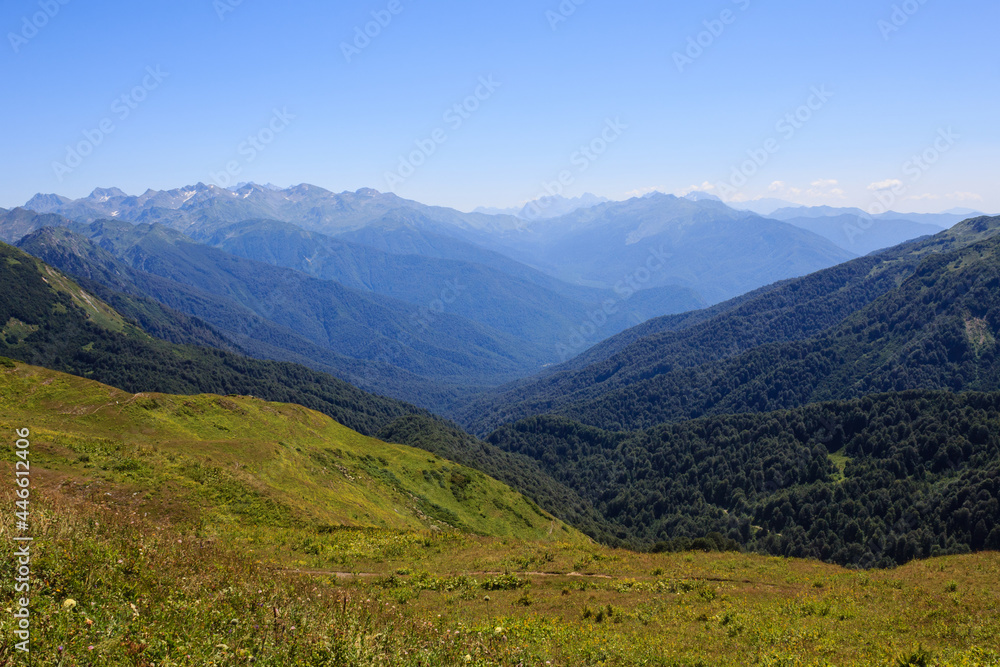 alpine meadows and forest in mountain valley landscape in Georgia alpine meadows and forest in mountain valley landscape in Georgia
