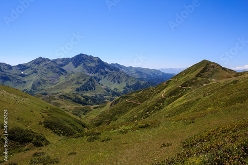 alpine meadows on the caucasus mounains valley in Abkhazia