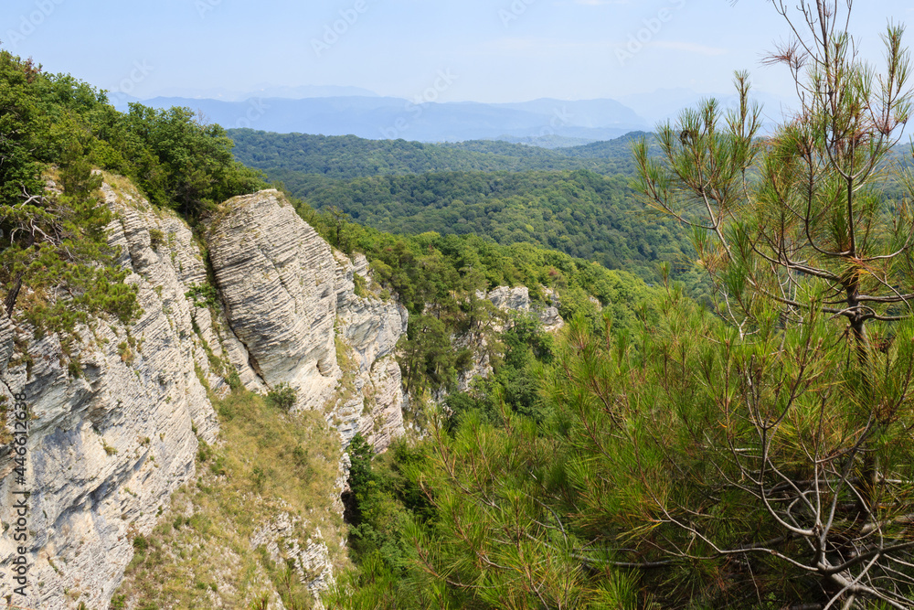 landscape view with high white rocks and pine tree branches and greenforest