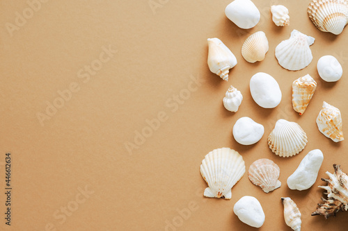 Frame made of seashells on sand color background. Summer, vacation concept. Flat lay, top view, overhead. © photoguns