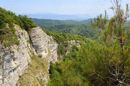 landscape view with high white rocks and pine tree branches and greenforest
