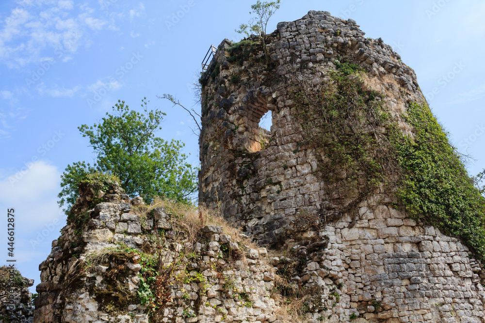  ruins of ancient castle covered with lianas and small trees