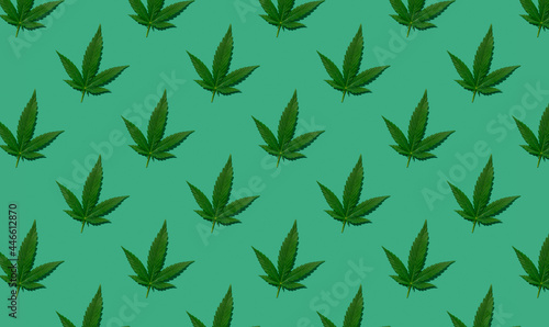 Cannabis green leaves pattern on green background