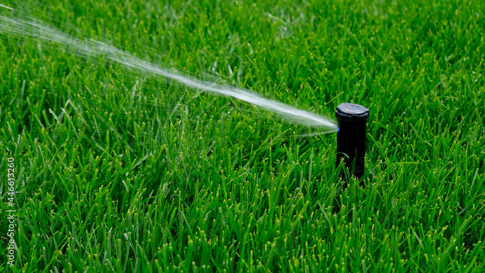 Automatic garden irrigation system watering lawn. Savings of water from sprinkler irrigation system with adjustable head. Automation for lawn irrigation, gardening, soccer fields or golf courses. - obrazy, fototapety, plakaty 