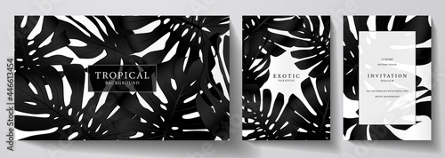 Exotic black and white banner, cover design set. Floral background with tropical pattern of leaf monstera plant. Premium horizontal, vertical vector template for invitation, luxury voucher, gift card