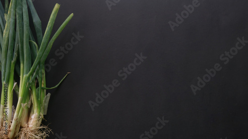 Top view of green onions on blank black background