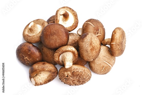 Shiitake mushrooms on a white background
