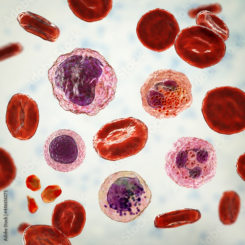 Smear of peripheral blood, 3D illustration photo