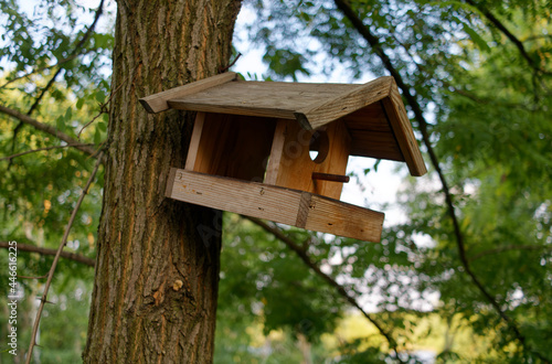 Budka dla ptaków wykonana z drewna i powieszona na drzewie