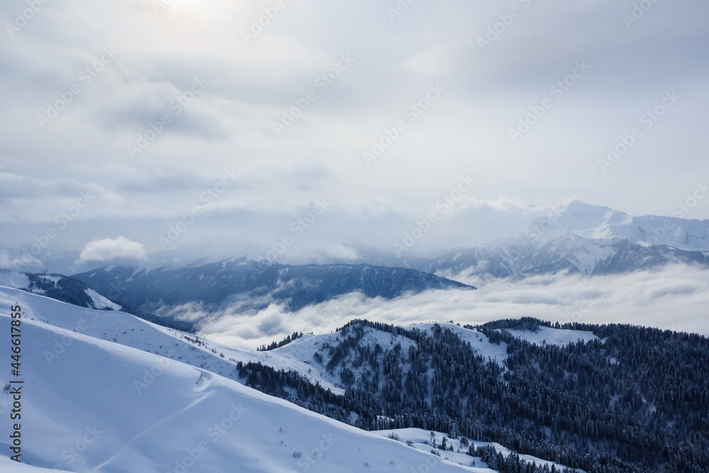 winter mountain landscape with peaks covered with snow and forest in the clouds