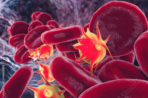 Activated platelets in blood flow and red blood cells, 3D illustration photo