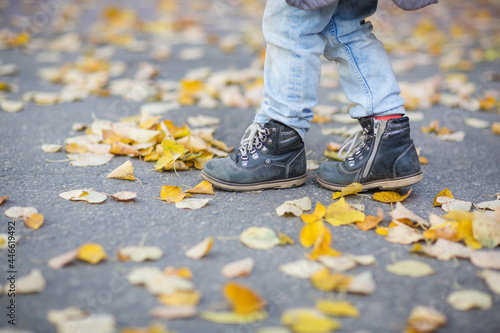 autumn background. feet of child in jeans and boot are walking on asphalt road covered with yellow leaves