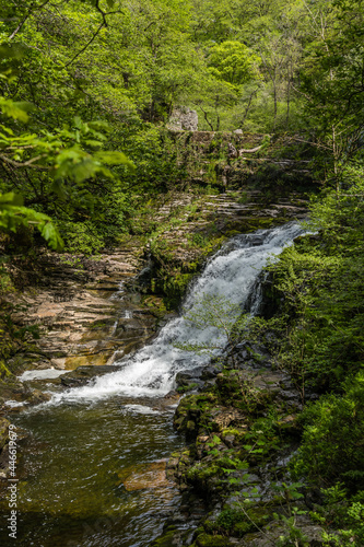 Vertical image of a waterfall surrounded by moss and a tree branch