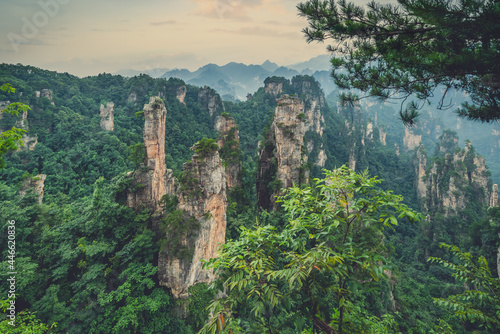 Landscape of Stone Tianzi Mountain pillars in Zhangjiajie photo