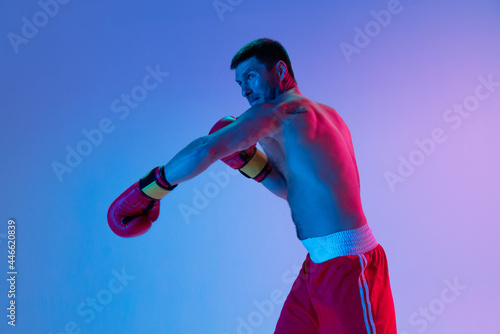 One man, professional boxer in sportwear boxing on studio background in gradient neon light. Concept of sport, activity, movement, wellbeing.