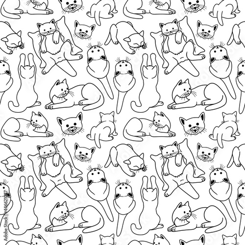 Seamless pattern with cute cats on white background.