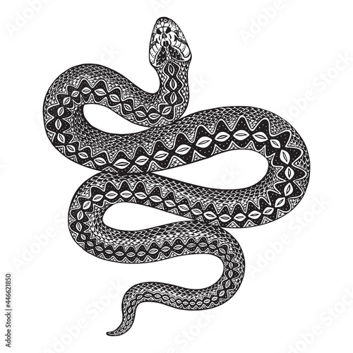 Vector illustration of black and white snake isolated on white background. Mystical totem simbol.