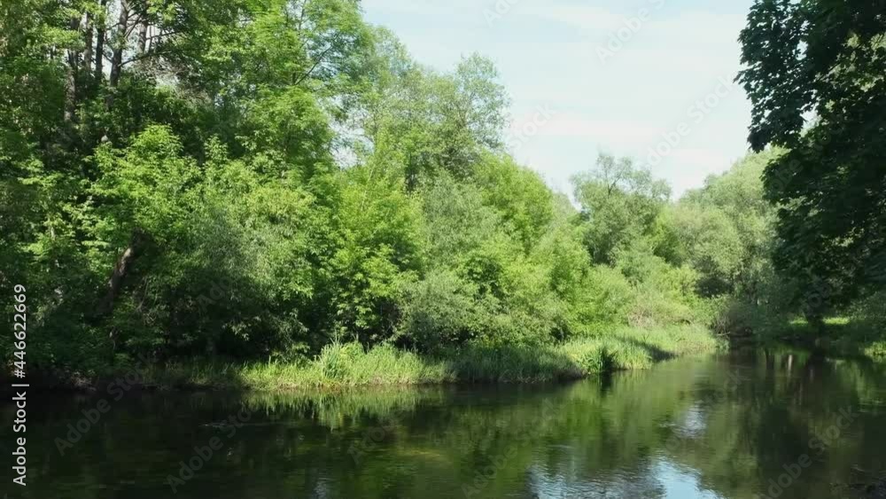 panorama of forest river on a sunny summer day. panorama of forest river on a sunny summer day.