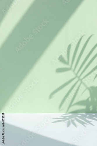 Minimal abstract background for the presentation of a cosmetic product. Premium podium with a shadow of tropical palm leaves on a pastel green wall and gray table.