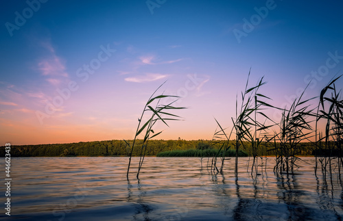 Amazing shot of a reflective lake on a beautiful sunset background