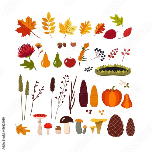 Autumn set. Fall season elements collection, bright background for harvest time, autumn greeting card. Vector illustration in flat style.
