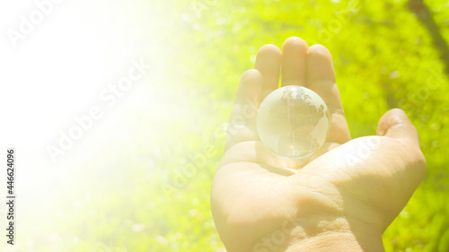 hand holding glass globe ball with tree growing and green nature blur background. eco concept, sunlight in the morning.