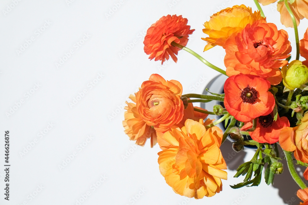 Macro shot of beautiful tender yellow-orange ranunculus bouquet over isolated background. Visible petal structure. Bright patterns of flower buds. Top view, close up, copy space, cropped image. Macro shot of beautiful tender yellow-orange ranunculus bouquet over isolated background. Visible petal structure. Bright patterns of flower buds. Top view, close up, copy space, cropped image.