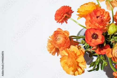 Macro shot of beautiful tender yellow-orange ranunculus bouquet over isolated background. Visible petal structure. Bright patterns of flower buds. Top view, close up, copy space, cropped image. © Evrymmnt