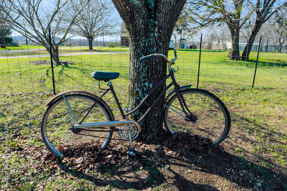 Fototapeta premium Old worn bicycle leaning against tree trunk.