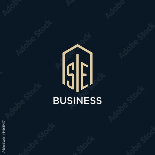 SE initial monogram logo with hexagonal shape style, real estate logo design ideas inspiration