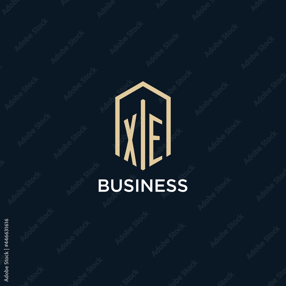 XE initial monogram logo with hexagonal shape style, real estate logo ...