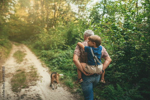 father carries his son on his back on the nature in summer among green trees and the dog runs back view