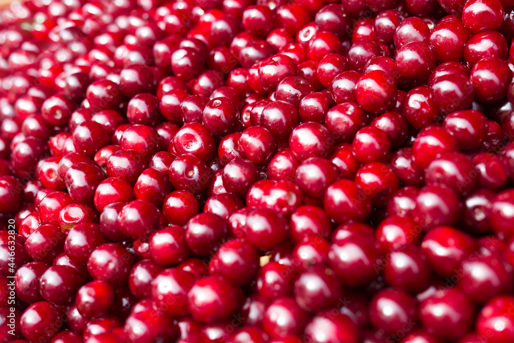 red berries cherry texture background red berries cherry texture background