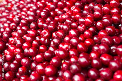 red berries cherry texture background