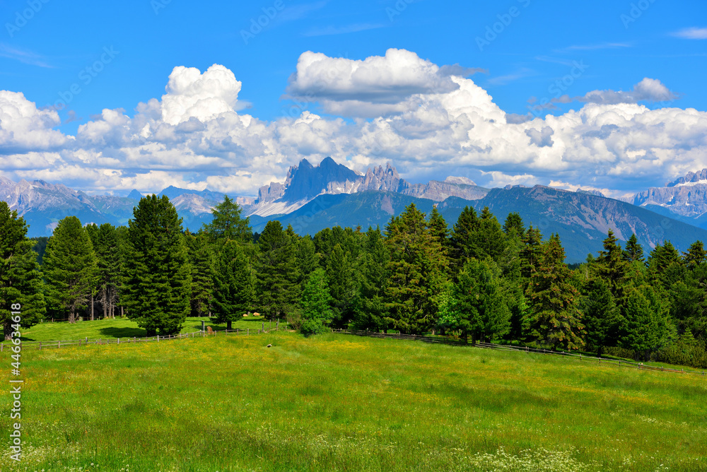 alpe di villandro It is the second largest mountain pasture in Europe and  panorama dolomites south tyrol italy