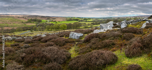 Footpath flanked by large rocks, heather, fields, and trees under overcast sky. Goathland, UK. photo